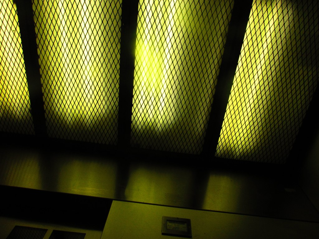 Xenophobia in the&nbsp;USA